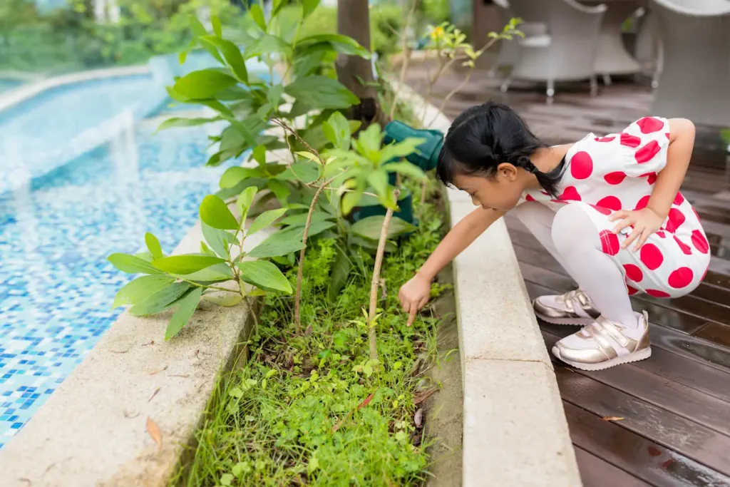Voici 12 plantes dépolluantes qui transforment ton jardin en purificateur naturel