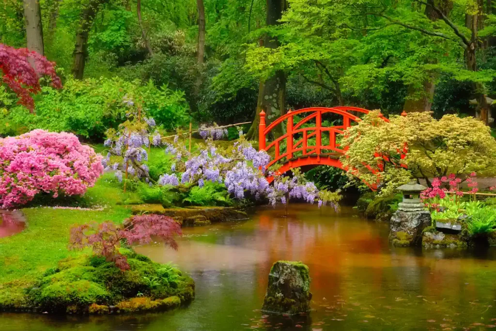 Voici comment entretenir ton jardin japonais naturellement