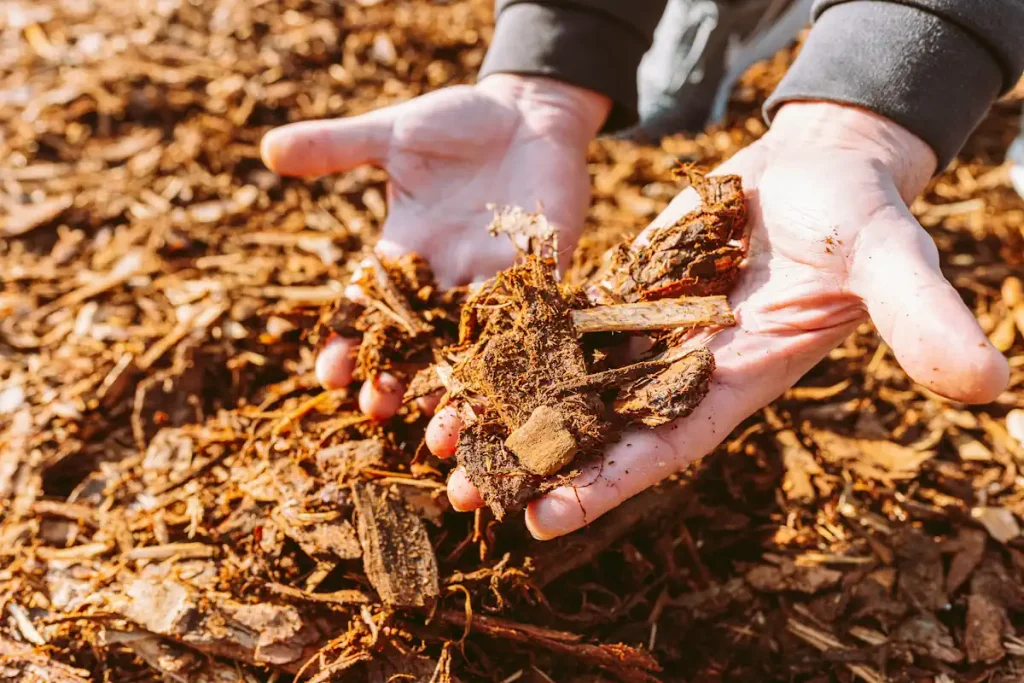 Voici des alternatives pour un paillage naturel maison